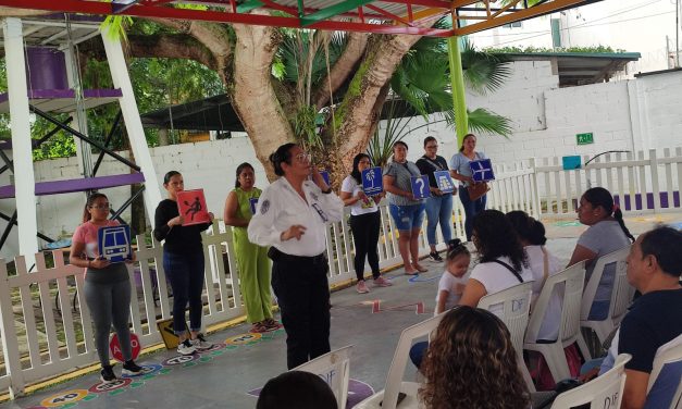 Crece la demanda de impartición de educación vial dentro del sector educativo