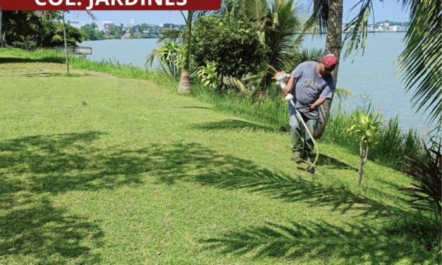 Se intensifica la atención de áreas verdes y recolección de basura con la participación de varias coordinaciones del Ayuntamiento de Tuxpan