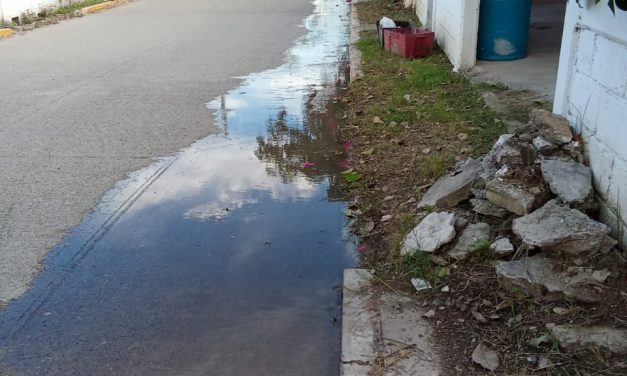 Piden la intervención de las autoridades de ecología