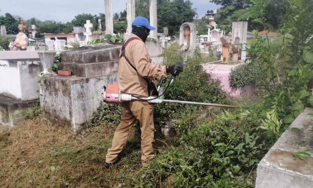 Se realizan trabajos de limpieza en los panteones