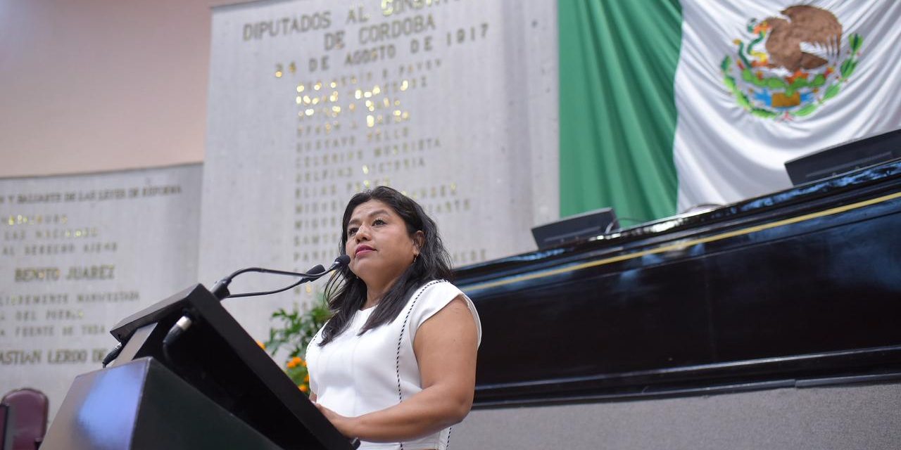 Ante desastres naturales, unidad, empatía y cooperación, llama diputada