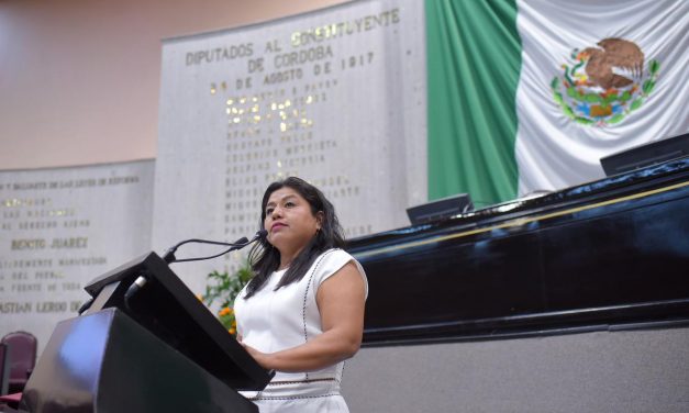 Ante desastres naturales, unidad, empatía y cooperación, llama diputada