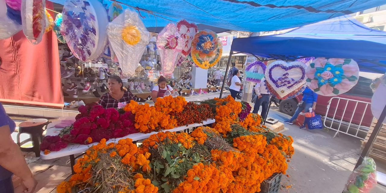 Se instalan más de 300 comerciantes en Plaza de Todos Santos