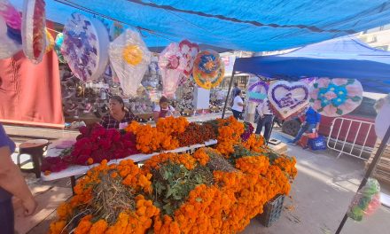 Se instalan más de 300 comerciantes en Plaza de Todos Santos