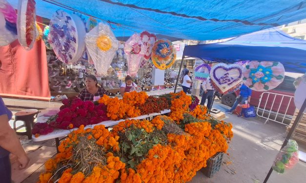 Se instalan más de 300 comerciantes en Plaza de Todos Santos