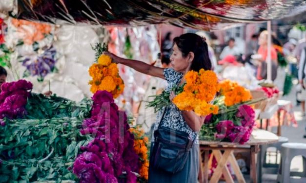 Disponible Espacios para la Plaza de Todos Santos 2025