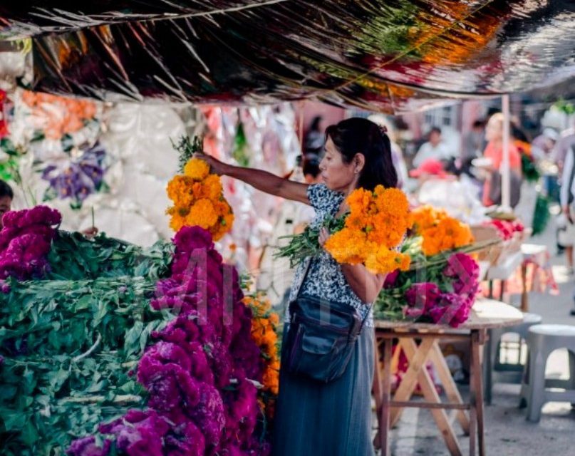 Disponible Espacios para la Plaza de Todos Santos 2025