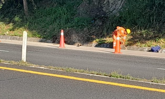 Realizan limpieza de cunetas