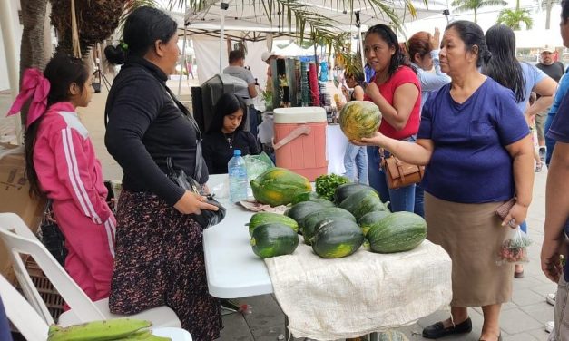 Realizan Mercado Comunitario
