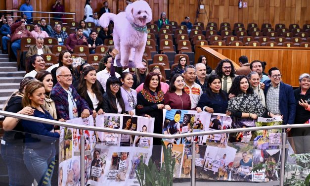 Congreso eleva a rango constitucional la protección a los animales