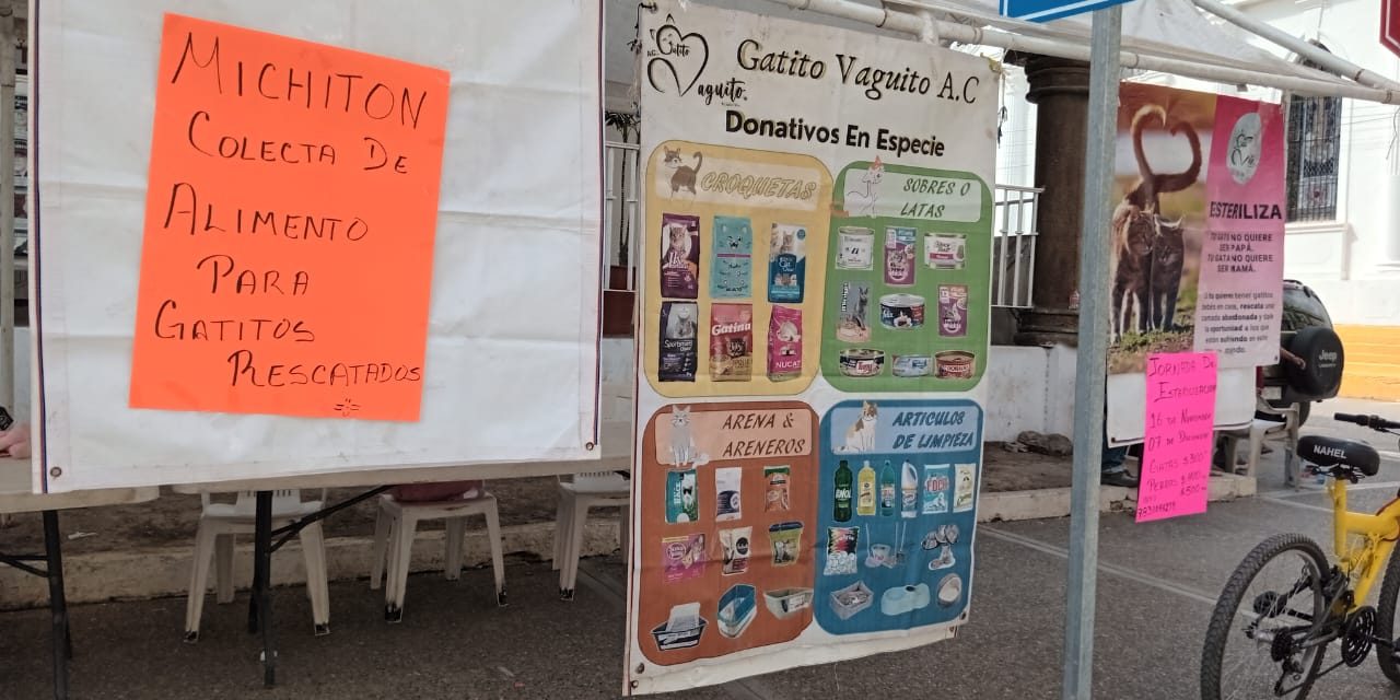 Realizan colecta de alimentos para mascotas