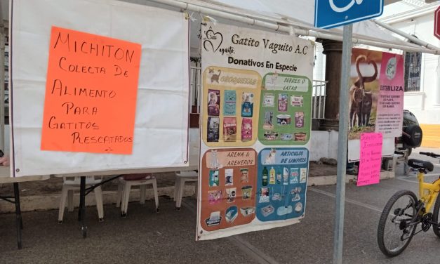 Realizan colecta de alimentos para mascotas