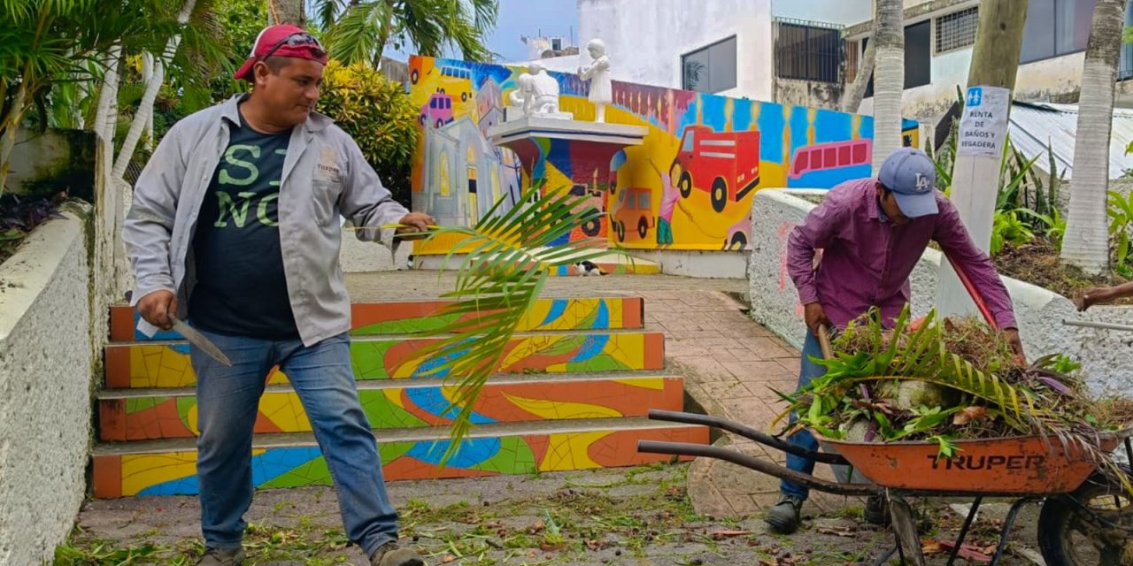 Cuadrillas de Parques y Jardines, y Panteones intensifican la limpieza, poda y desbroce de áreas verdes y camellones de bulevares.