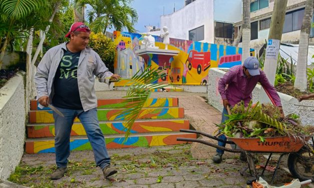 Cuadrillas de Parques y Jardines, y Panteones intensifican la limpieza, poda y desbroce de áreas verdes y camellones de bulevares.