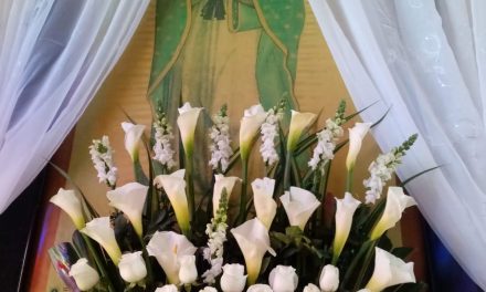 Florias favorecidas por el inicio de las Perigrinaciones