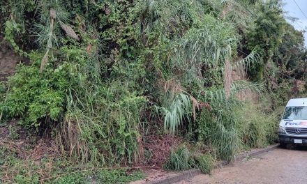 Piden apoyo para colocar malla vecinos de la Pavón