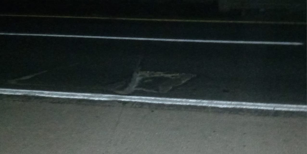 Automovilistas locales hacen un llamado a Capufe