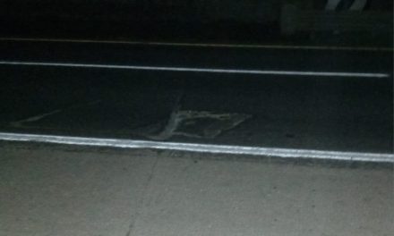 Automovilistas locales hacen un llamado a Capufe