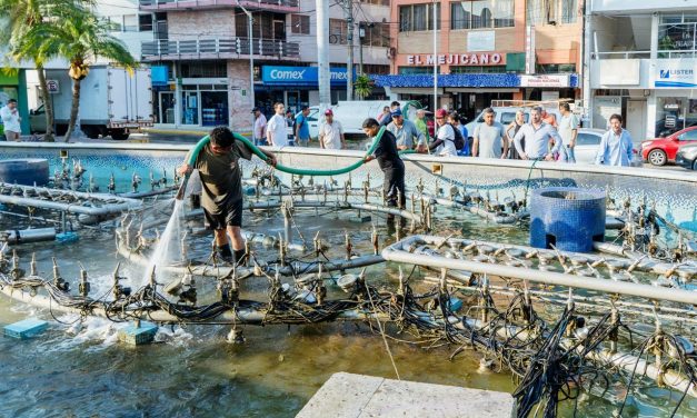 Atendiendo las indicaciones del presidente municipal Daniel Cortina, avanzan las acciones de embellecimiento en la ciudad.