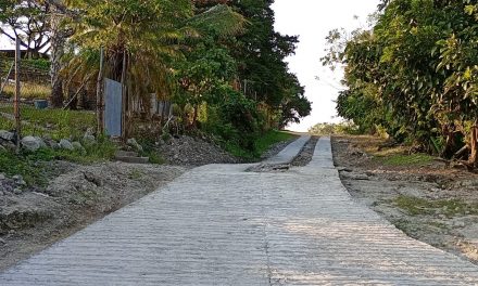 Les reparan sus calles a los vecinos de Ceiba Rica
