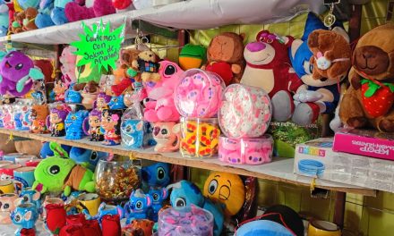 Exhiben artículos alusivos al 14 de Febrero 2026