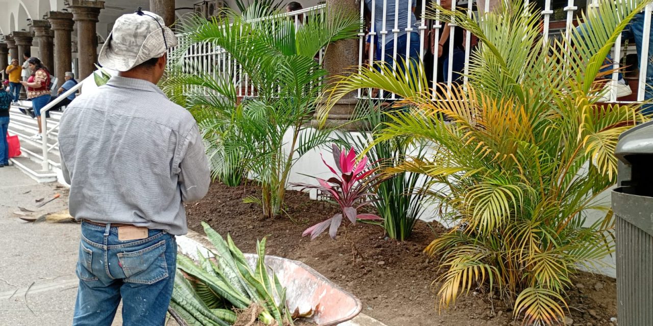 Embellecen los parques y jardines