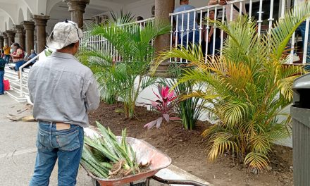 Embellecen los parques y jardines