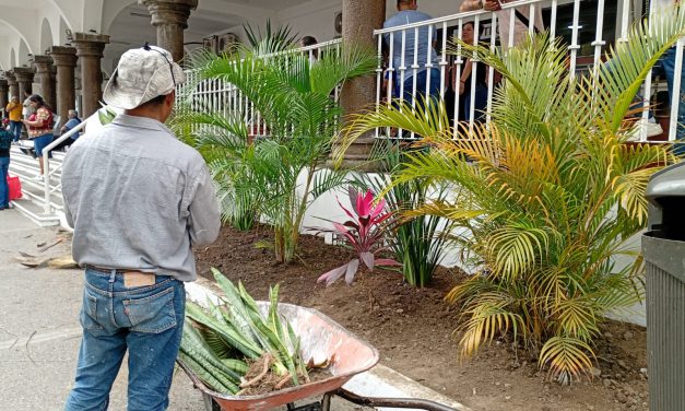 Embellecen los parques y jardines