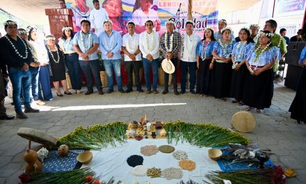 Riqueza cultural de Veracruz, herencia invaluable: diputado Esteban Bautista