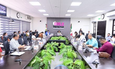 El OPLE Veracruz aprobó la realización de un debate en modalidad virtual para el Proceso Electoral Local Extraordinario 2026 para la elección del Ayuntamiento del Municipio de Tamiahua