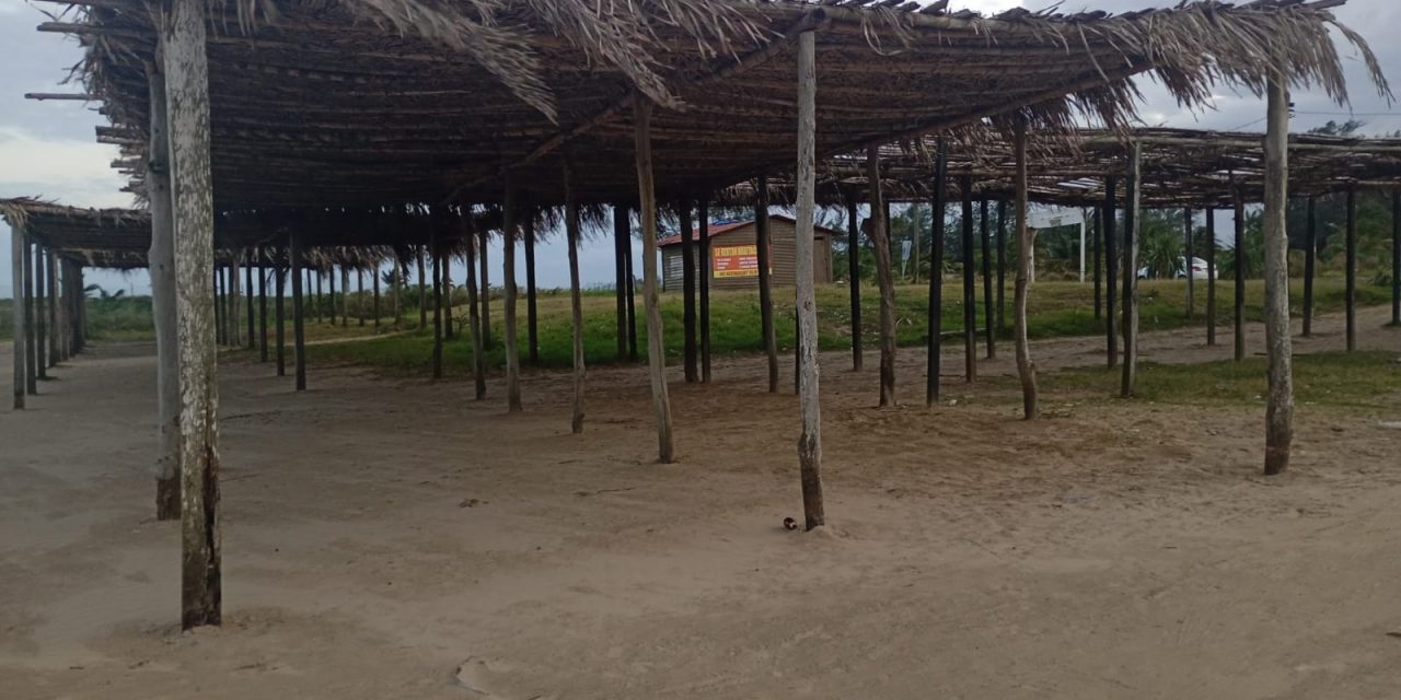 Inician la reparación de Palapas en la zona de Playas