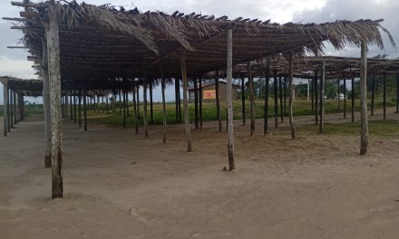 Inician la reparación de Palapas en la zona de Playas