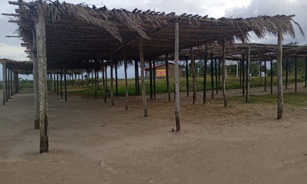 Inician la reparación de Palapas en la zona de Playas