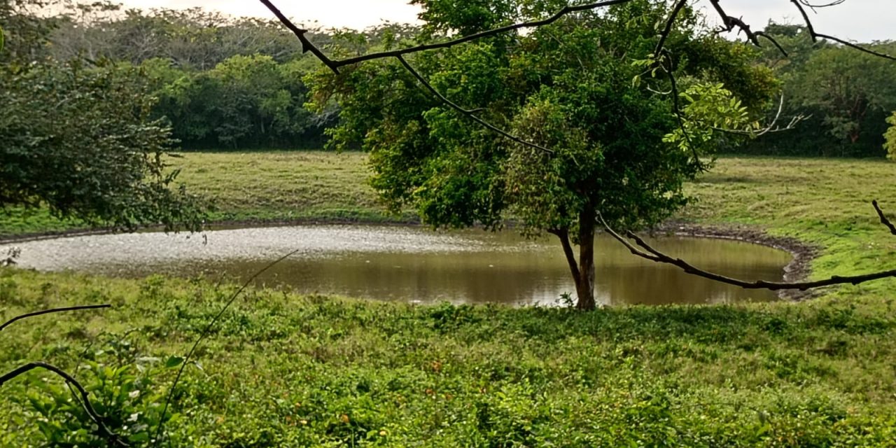Las presas de Agua Bajan Su Nivel