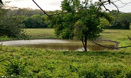 Las presas de Agua Bajan Su Nivel