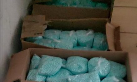 AUTORIDADES FEDERALES DETIENEN A SEIS PERSONAS DEDICADAS A LA DISTRIBUCIÓN DE DROGAS SINTÉTICAS EN COLIMA