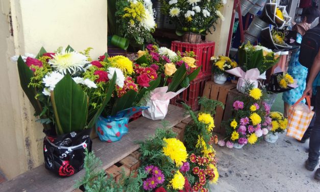 Florerías resienten pérdidas