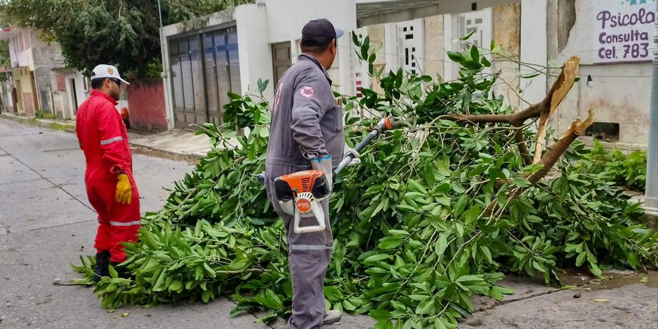 Protección Civil y Bomberos atienden reportes en Tuxpan por efectos del Frente Frío 41