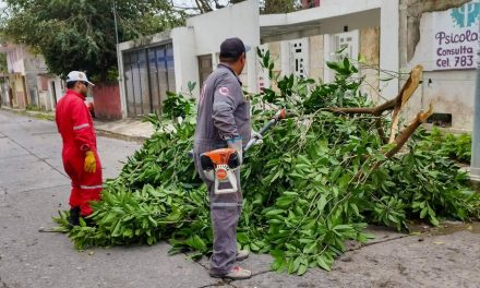 Protección Civil y Bomberos atienden reportes en Tuxpan por efectos del Frente Frío 41