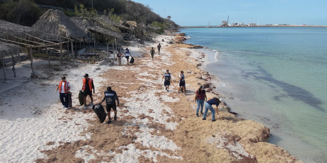 MARINA – SEMARNAT- SENER – ASEA – PEMEX-PROFEPA