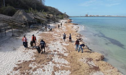 MARINA – SEMARNAT- SENER – ASEA – PEMEX-PROFEPA