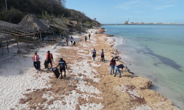 MARINA – SEMARNAT- SENER – ASEA – PEMEX-PROFEPA