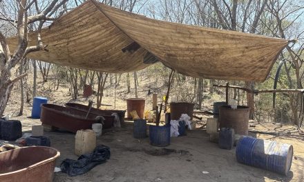 Marina en coadyuvancia con Fiscalía General de la República, localizan y neutralizan un laboratorio clandestino en Las Juntas, Mocorito, Sinaloa*