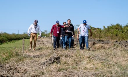 Después de casi 20 años sin intervención, inicia la limpieza profunda del Canal de La Ceiba en Tuxpan